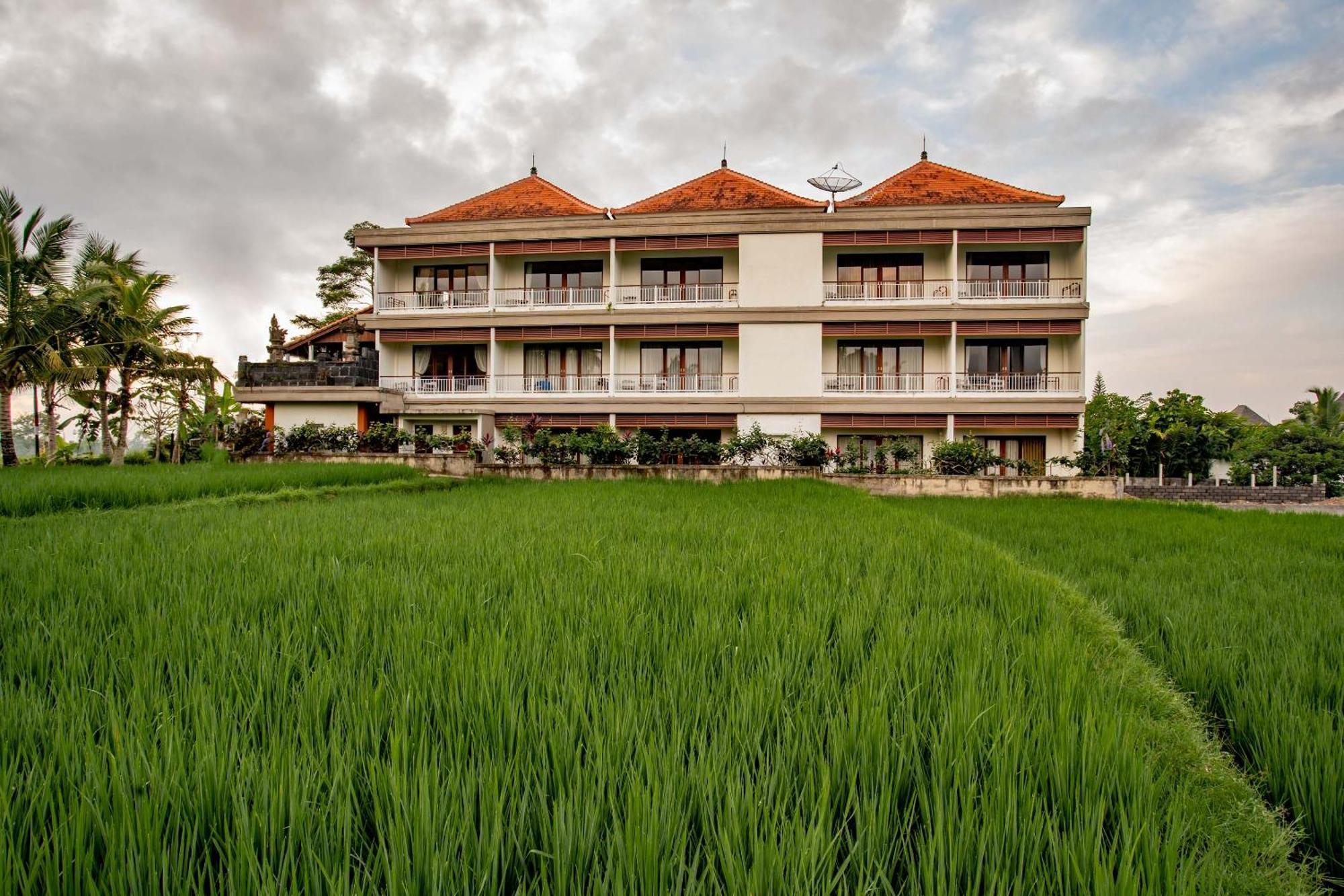 Paon Desa Ubud מראה חיצוני תמונה